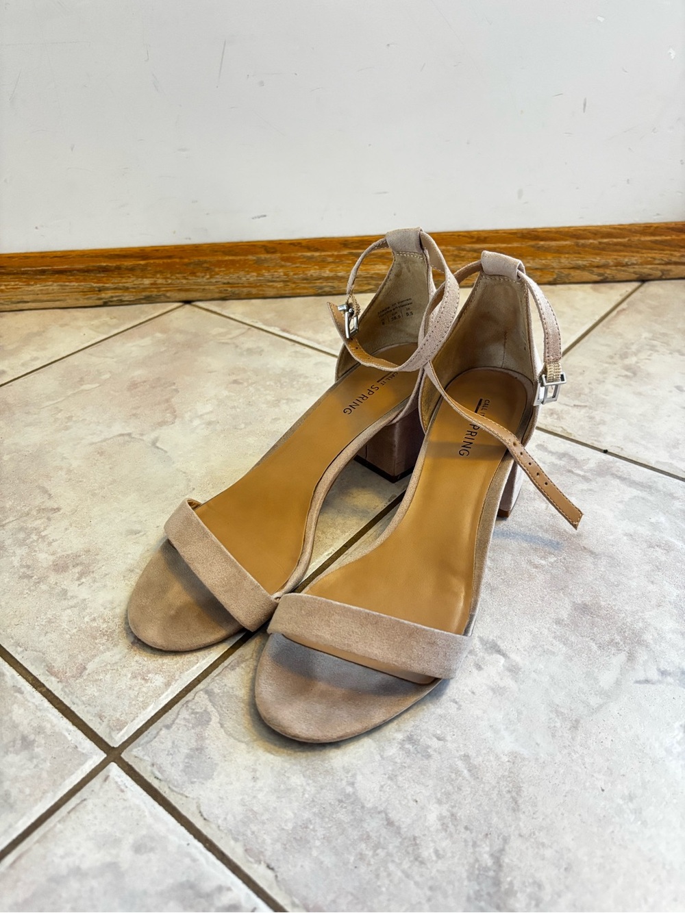 Block Heel Suede Ankle Strap Sandals in Beige
